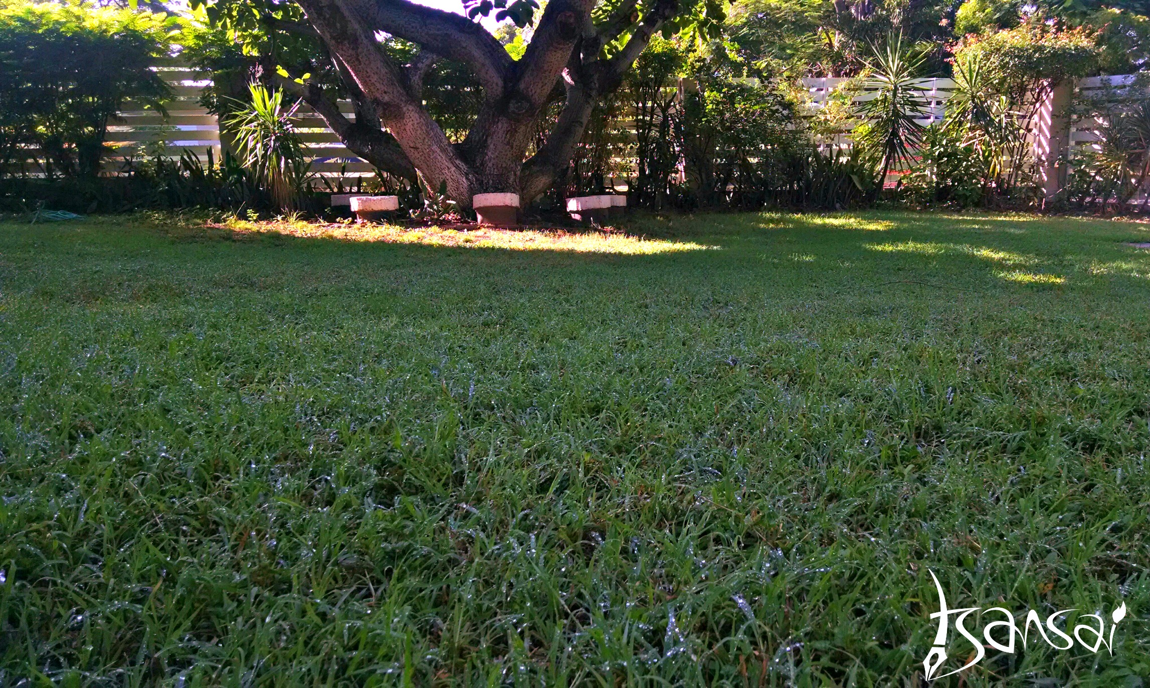 REM-4-Guest-House-Drumblair-Kingston-Jamaica