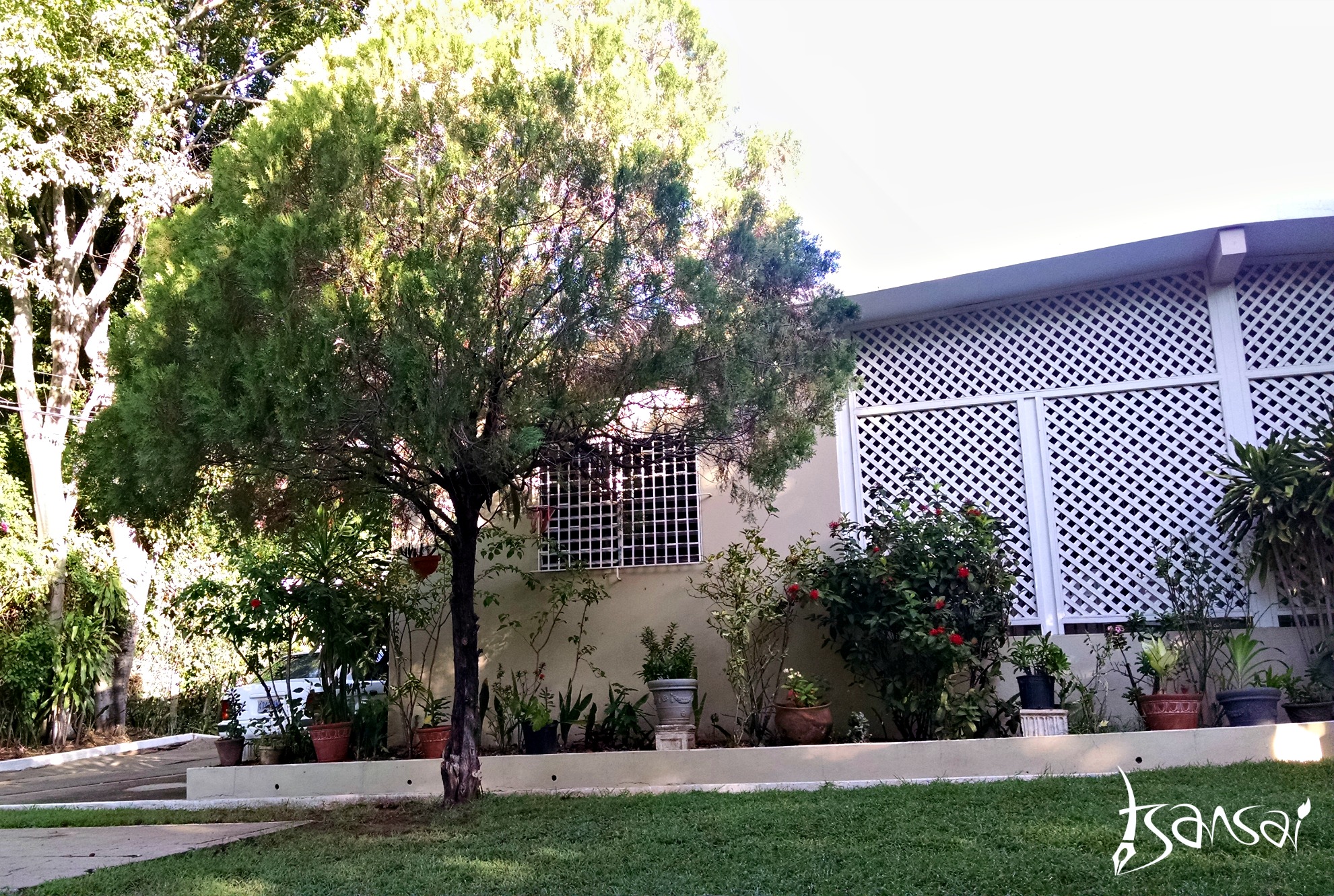 REM-8-Guesthouse-Kingston-Jamaica
