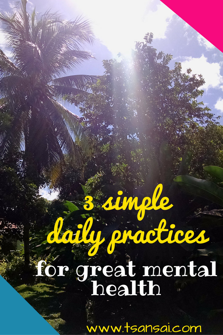 pinterest-title-3-simple-daily-mental-health-practices-tami-tsansai-jan-2017